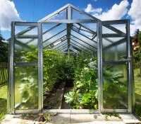 Gew&auml;chshaus Junior 4 mm N&ouml;rpelglas