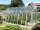 Gew&auml;chshaus Landhaus 4 mm N&ouml;rpelglas